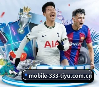 333体育官网入口 APP 界面