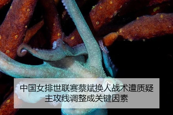 中国女排世联赛蔡斌换人战术遭质疑 主攻线调整成关键因素