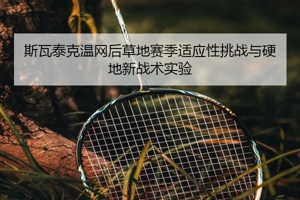si-wa-tai-ke-wen-wang-hou-cao-di-sai-ji-shi-ying-xing-tiao-zhan-yu-ying-di-xin-zhan-shu-shi-yan-3-145.jpg