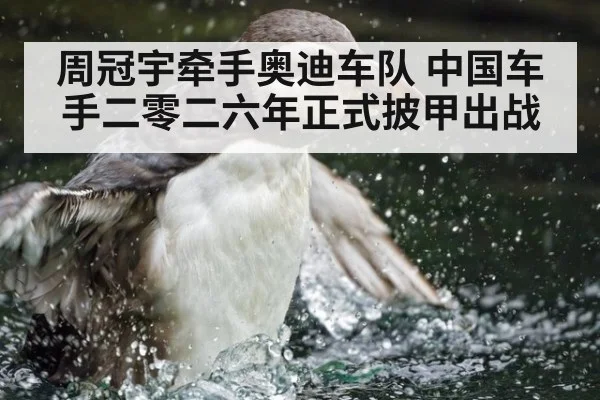 周冠宇牵手奥迪车队 中国车手二零二六年正式披甲出战