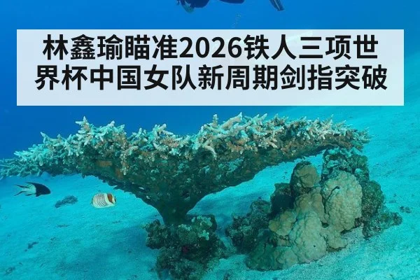 林鑫瑜瞄准2026铁人三项世界杯中国女队新周期剑指突破