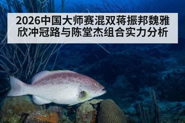 2026中国大师赛混双蒋振邦魏雅欣冲冠路与陈堂杰组合实力分析